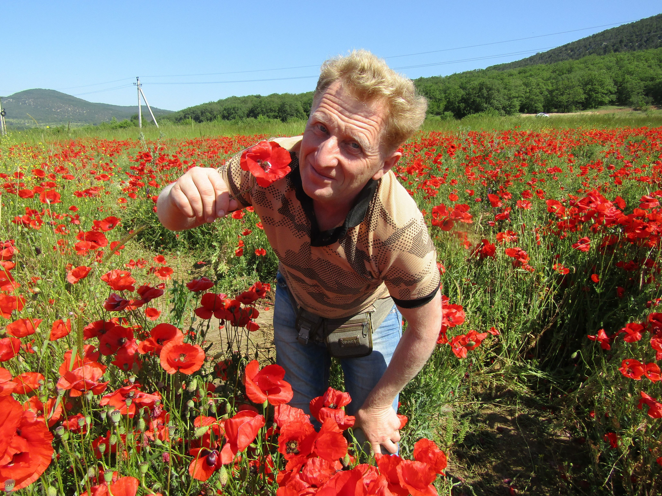 Маки – фотографии России
