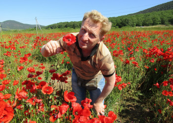 Маки – фотографии России