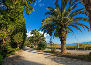 Солнечный день. Гагра – фотографии Абхазии