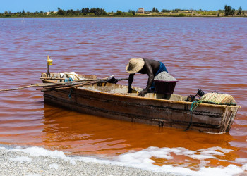 Розовое озеро в Сенегале 5 – фотографии Сенегала