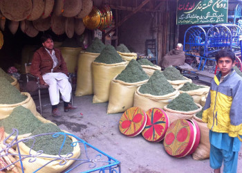 Торговцы приправ. Афганистан – фотографии Афганистана