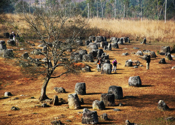 Засохшее дерево в долине кувшинов. Лаос – фотографии Лаоса