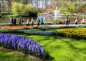 Территория Парка Кёкенхоф в Нидерландах составляет 32 гектара – фотографии Нидерландов