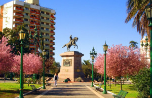 Цветущий парк и памятник всадника. Санта Роса. Аргентина. – фотографии Аргентины