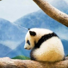 Танюша, 34, Ульяновск, Россия