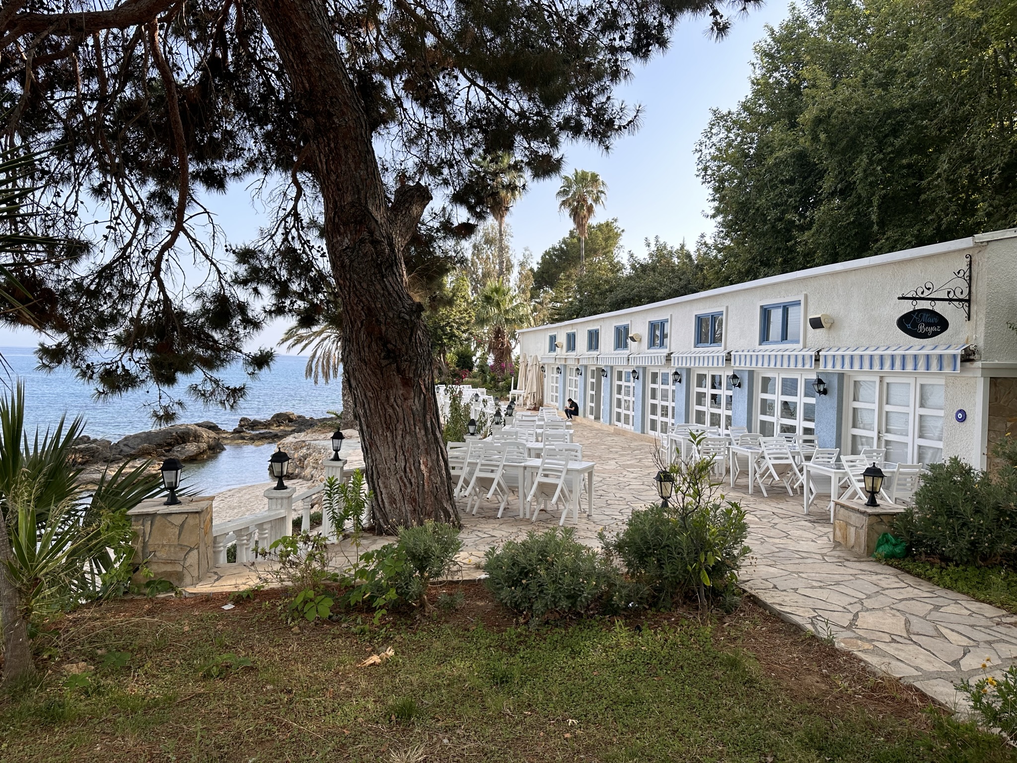 Отель Marvel Tree Hotel, ресторан