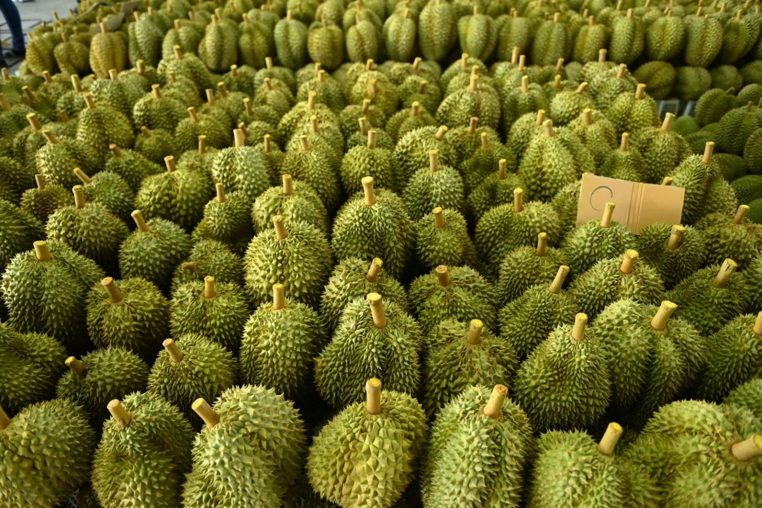 Дуриан из Таиланда