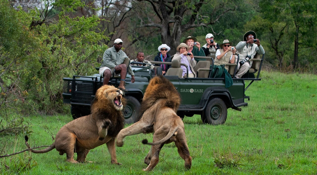 Cафари в Африке