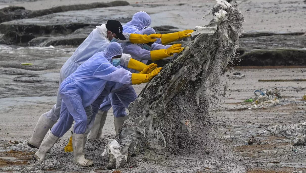 Очистка пляжей Шри-Ланки
