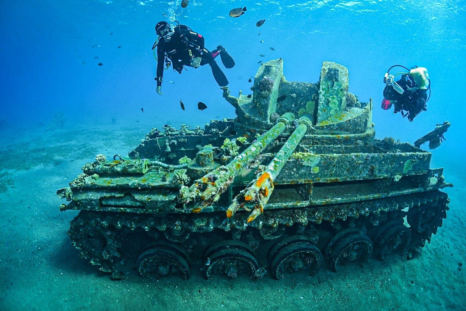 Подводный парк Акабы (Aqaba Marine Park)