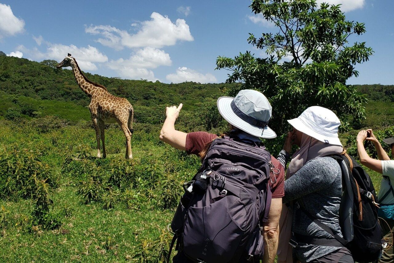 Национальный парк Аруша (Arusha National Park)