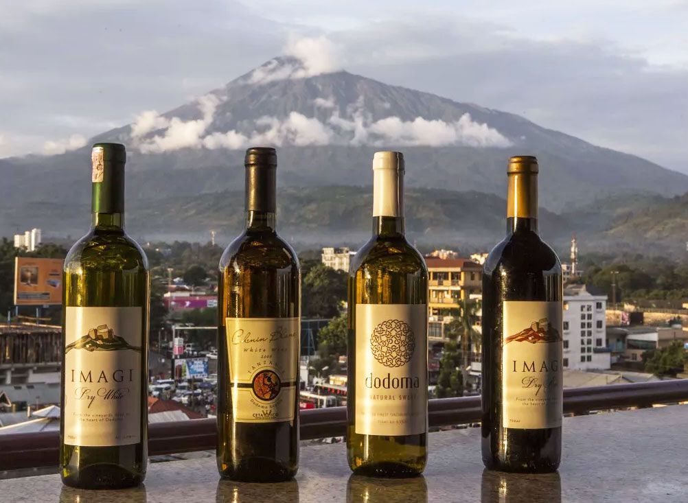 Винодельни Додомы