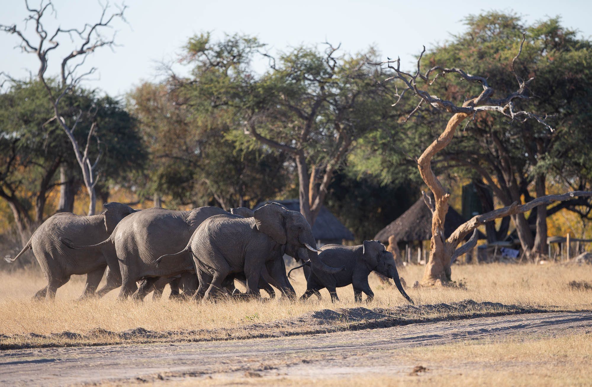 Район Нгуала (Ngweshla Area)
