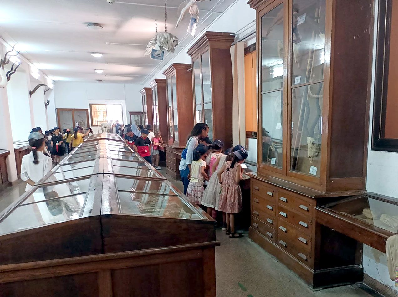 Музей Ахмеда Забаны в Оране (Musée Ahmed Zabana)