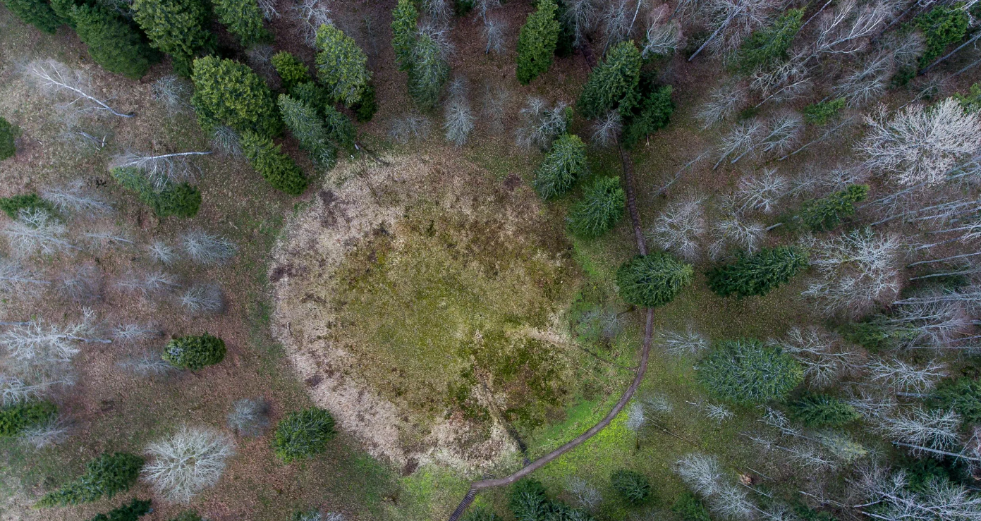 Чертова яма. Литва. Вид сверху 