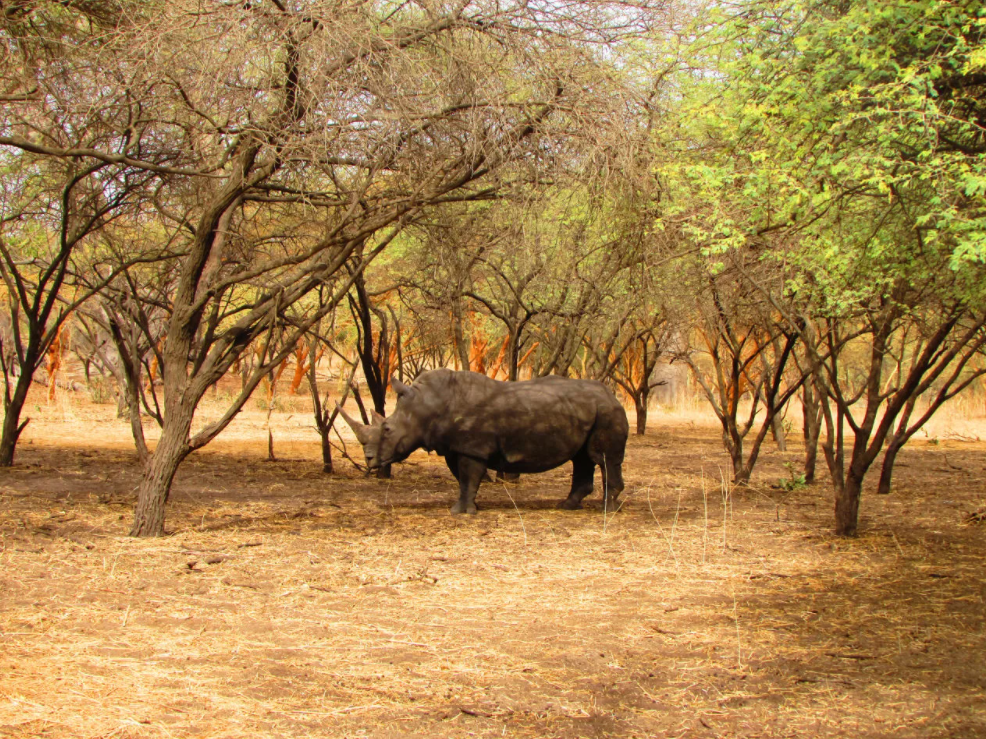 Бандия — небольшой частный заповедник-парк