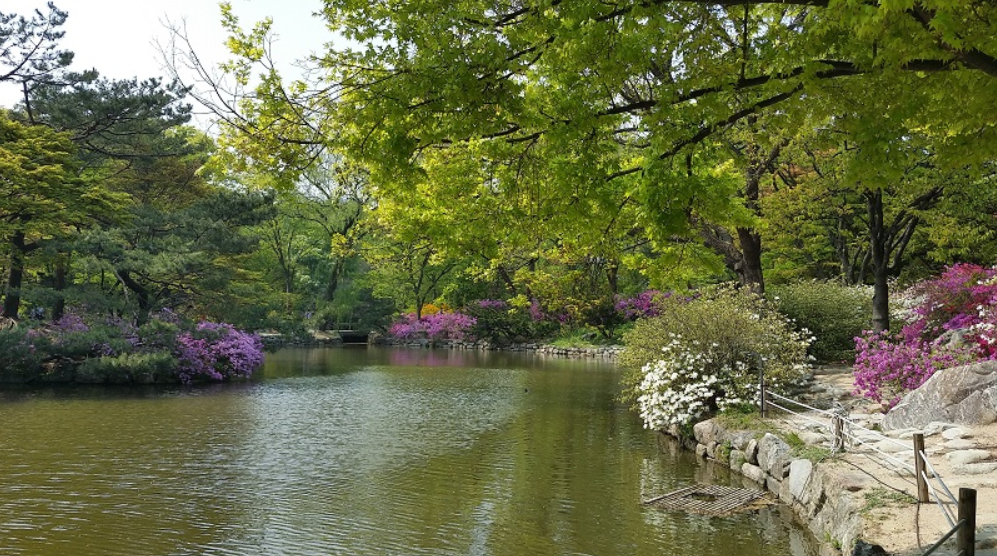 На территории дворца Чхангёнгун японцы разбили парк в японском стиле