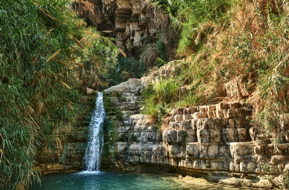 Заповедник Эйн-Геди — оазис невероятной красоты в самом сердце Иудейской пустыни