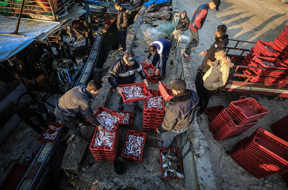 Две трети населения сектора — беженцы из Израиля
