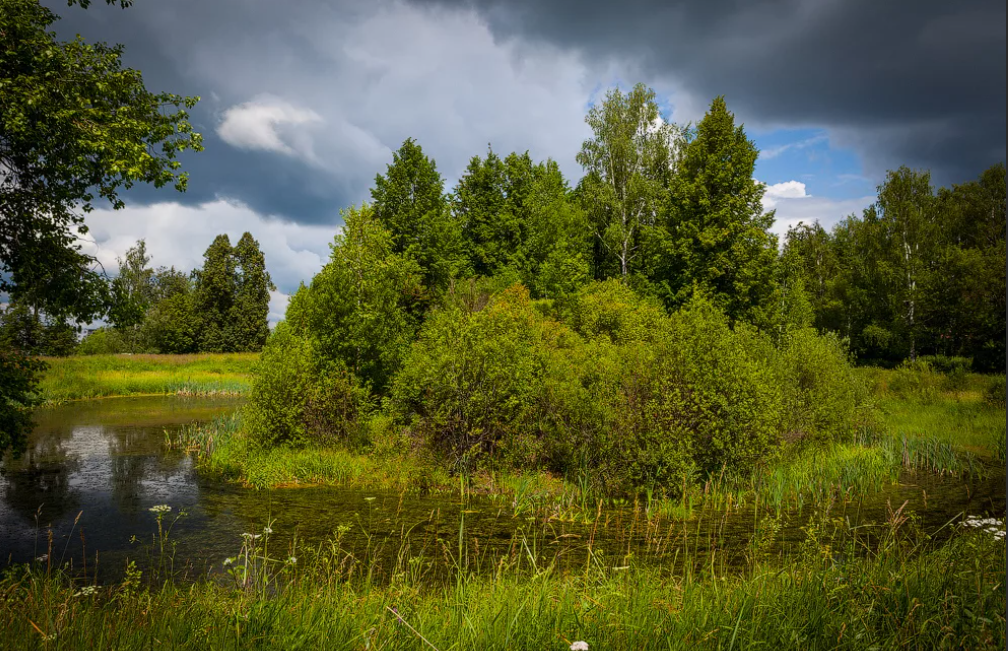 Круглый пруд с насыпным островом