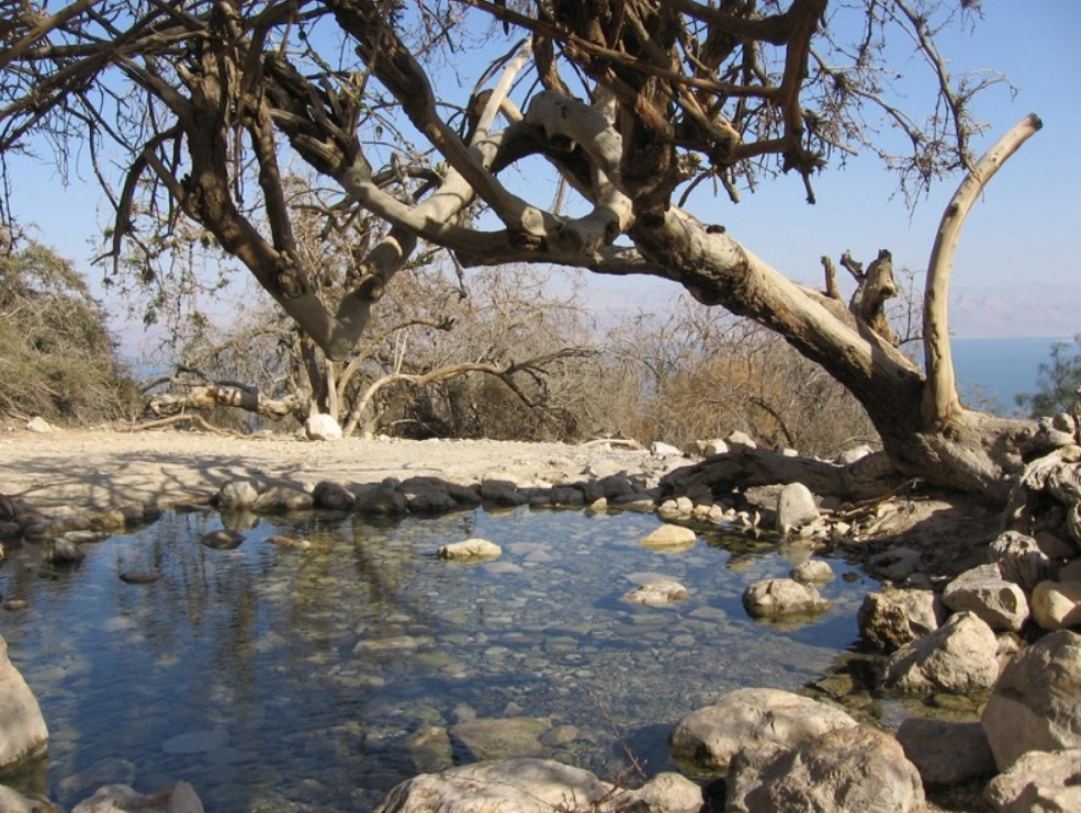 Национальный парк Эйн-Геди