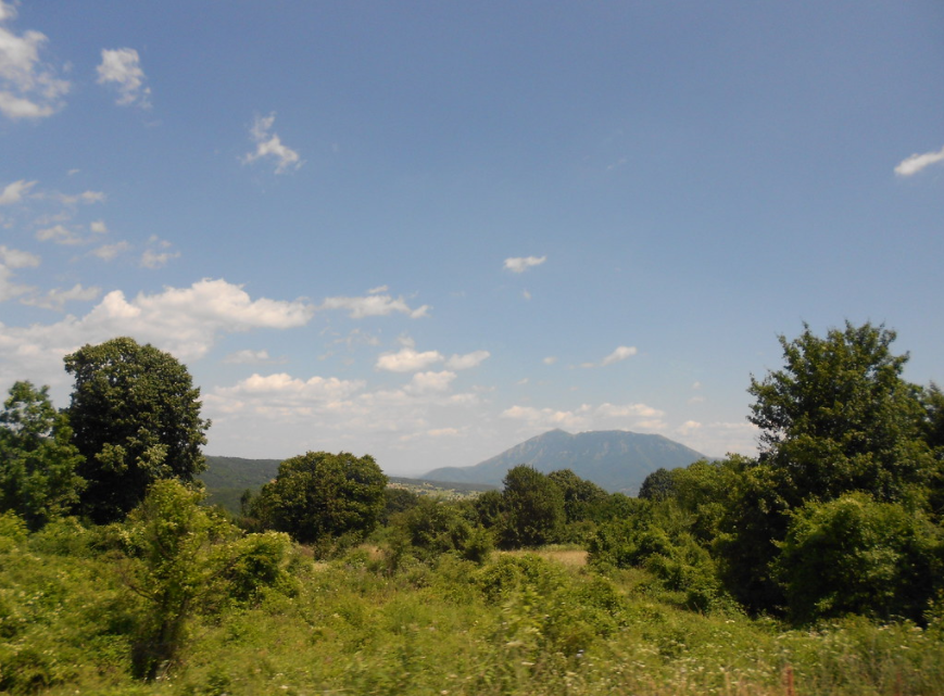 Неготин – город, куда приезжают ради его красивой природы