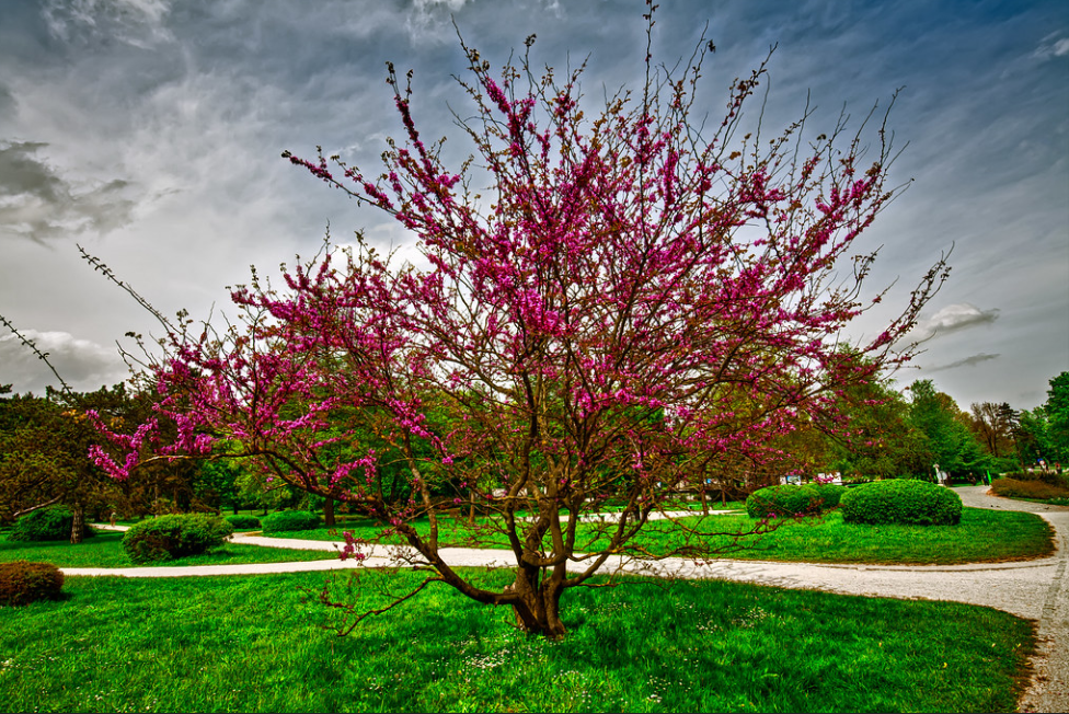 Парк Тиволи — парк в Любляне