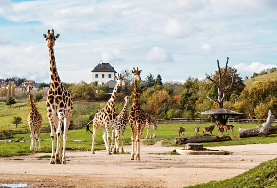 Жители Пражского зоопарка