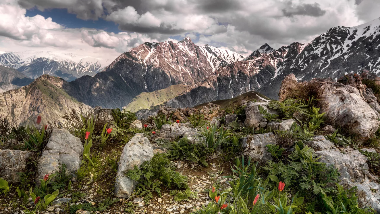 Горы Чимган – популярная зона отдыха у туристов