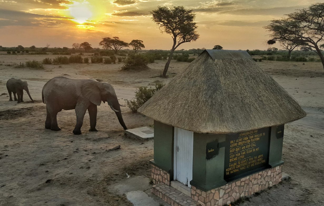 Хванге – крупнейший национальный парк в Зимбабве