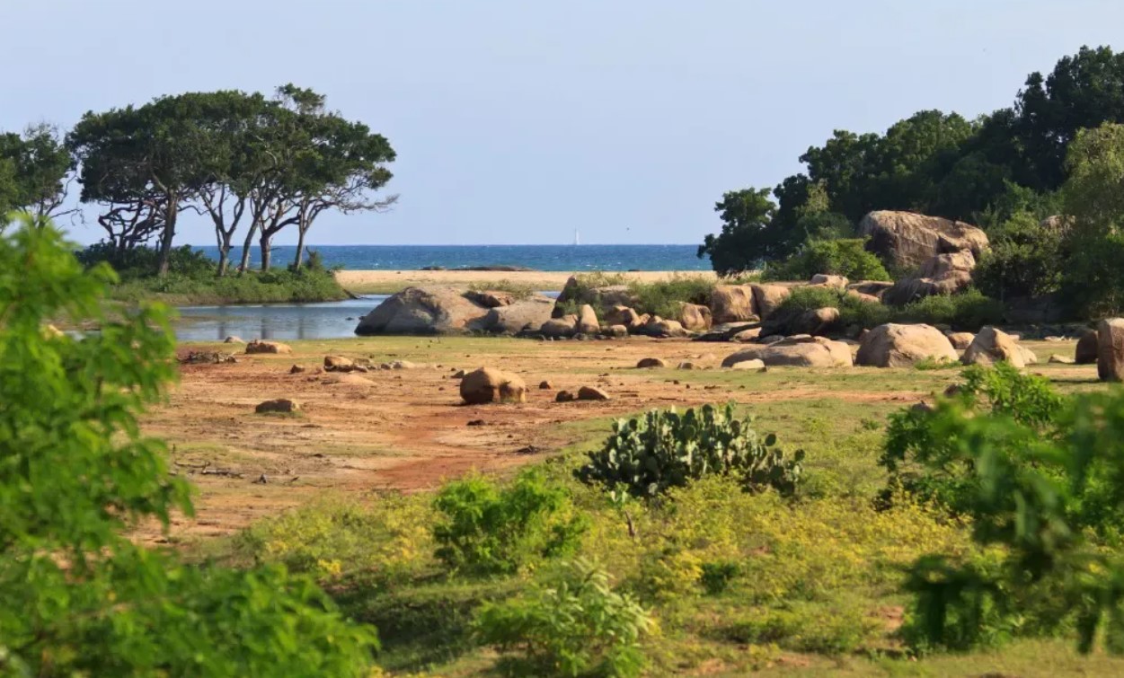 Национальный парк Кумана в Шри-Ланке 