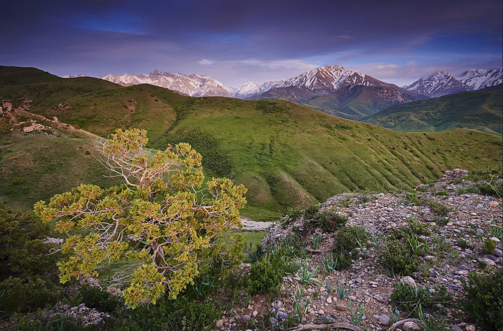Заповедник Аксу-Жабаглы. Казахстан 