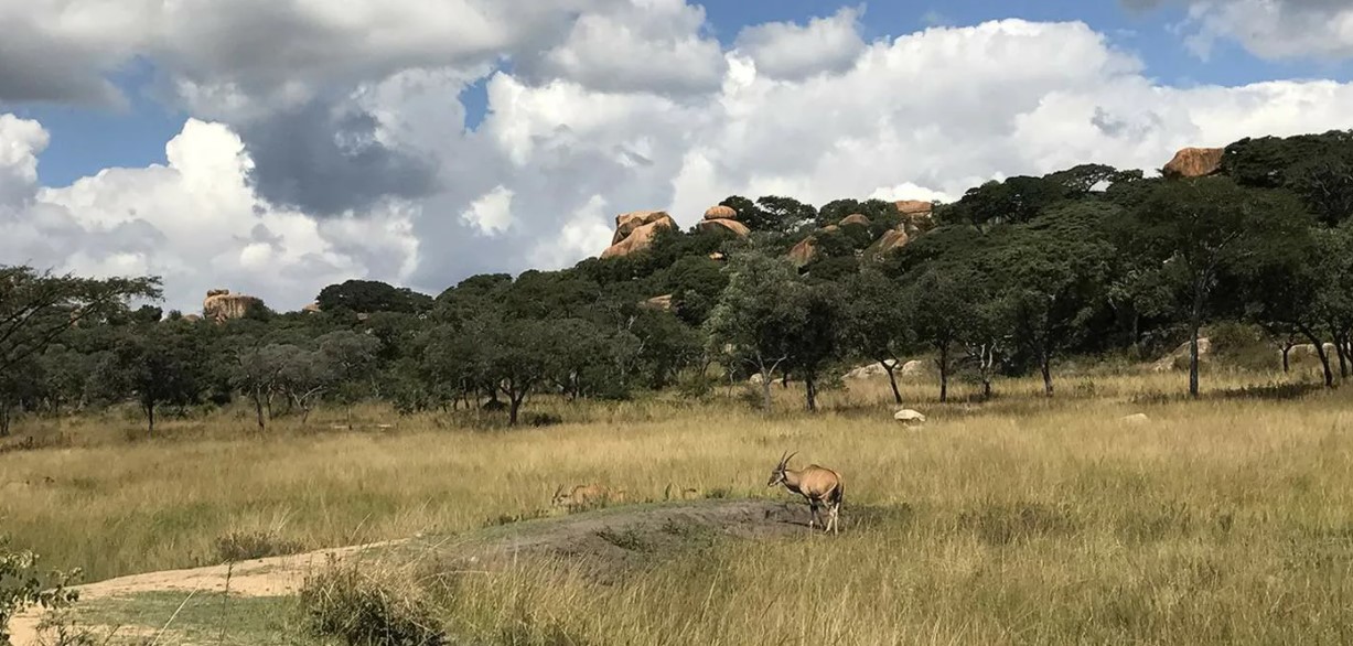 Национальный парк Чизарира расположен на крутом эскарпе реки Замбези