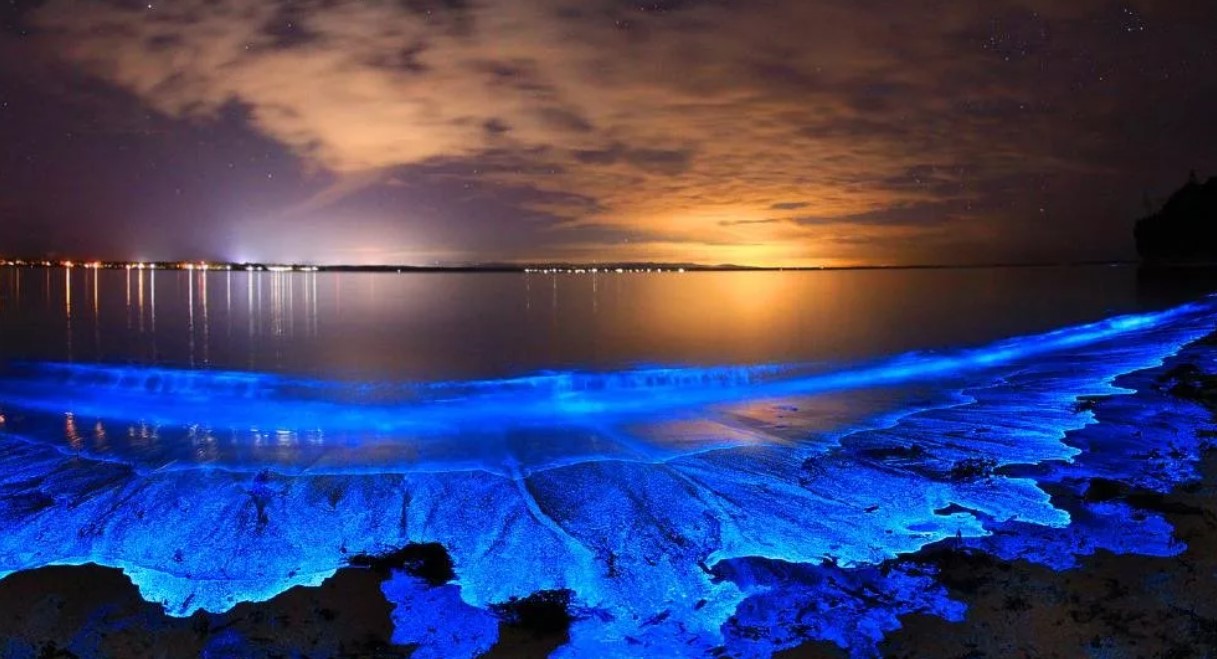 Гиппсленд — сеть из нескольких озёр, маршей и лагун в восточной части региона Гиппсленд