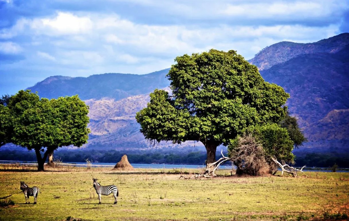 Национальный парк Мана-Пулс