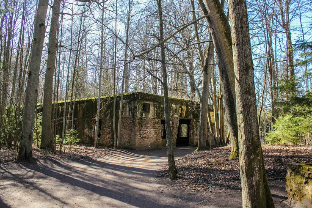 Ставка Гитлера Волчье логово