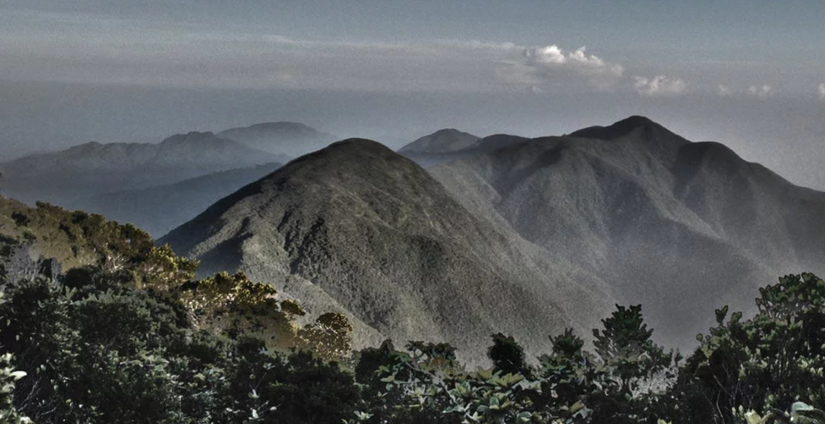 Блу-Маунтин-Пик — высочайшая вершина Ямайки