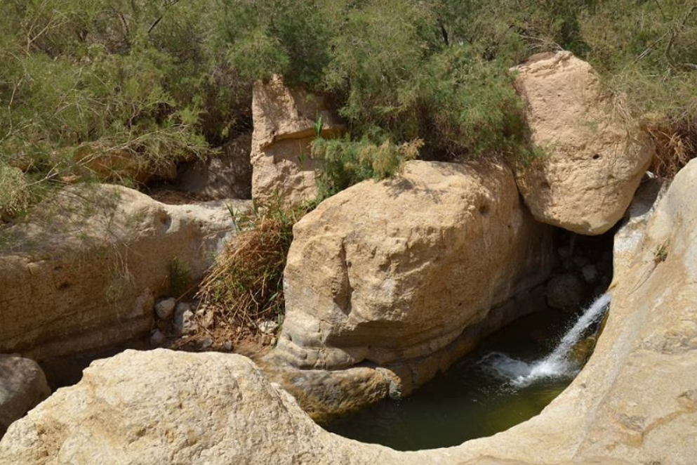 В северной части заповедника Эйн-Геди расположен источник Давида 