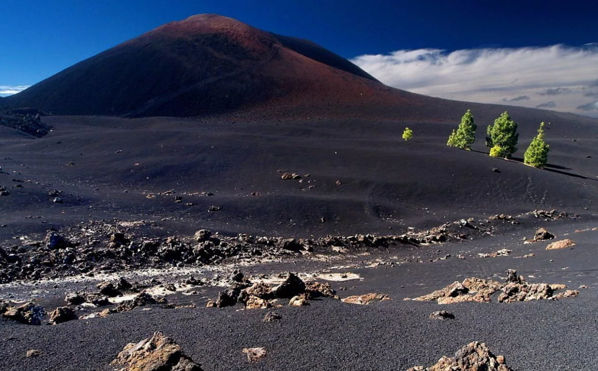 Специальный природный заповедник Чиньеро