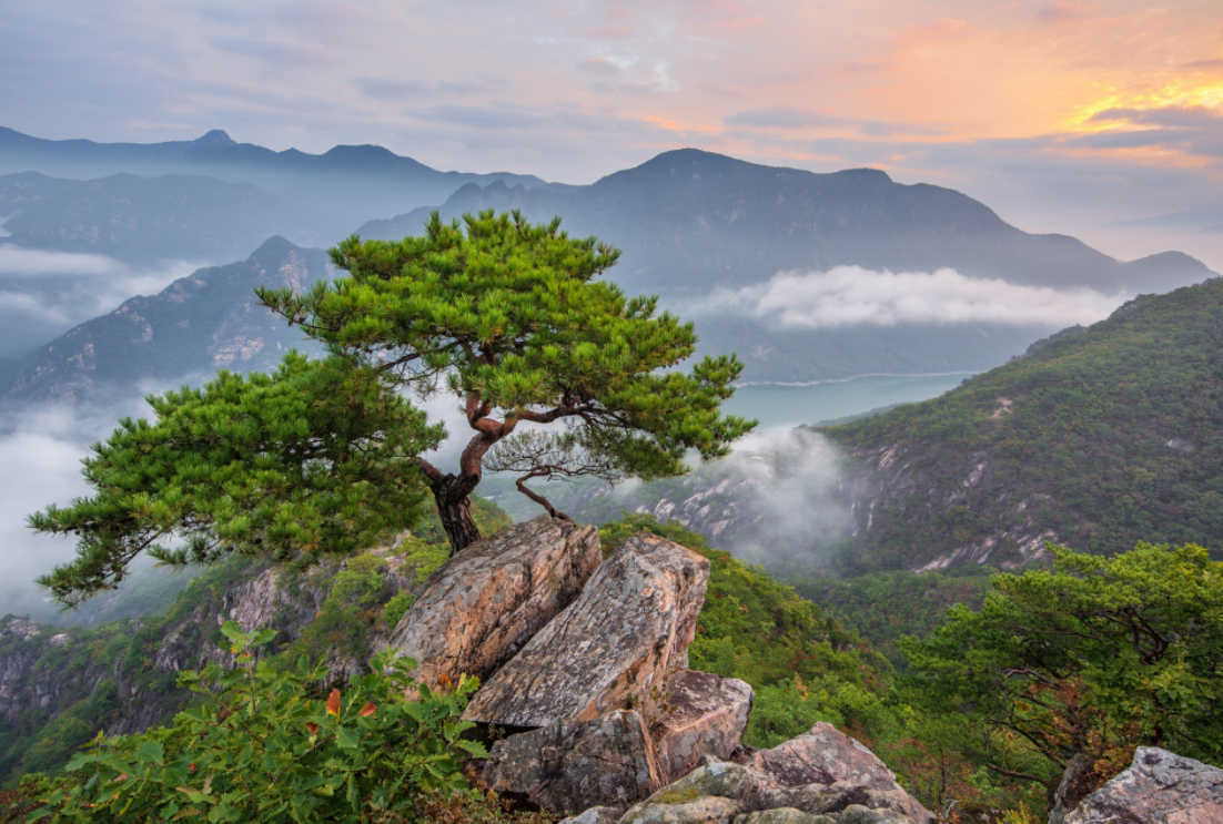 Горы Тхэбэксан разделяют провинцию на два региона: Йонсо на западе и Йондон на востоке