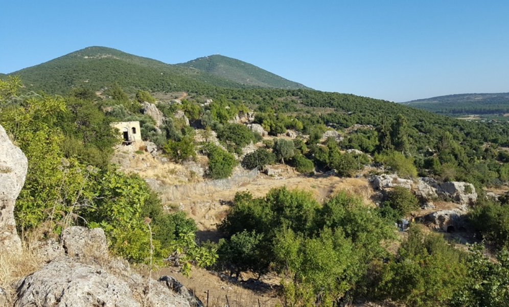 Горы Нижней Галилеи значительно ниже. Самые высокие вершины — Камон (598 м)