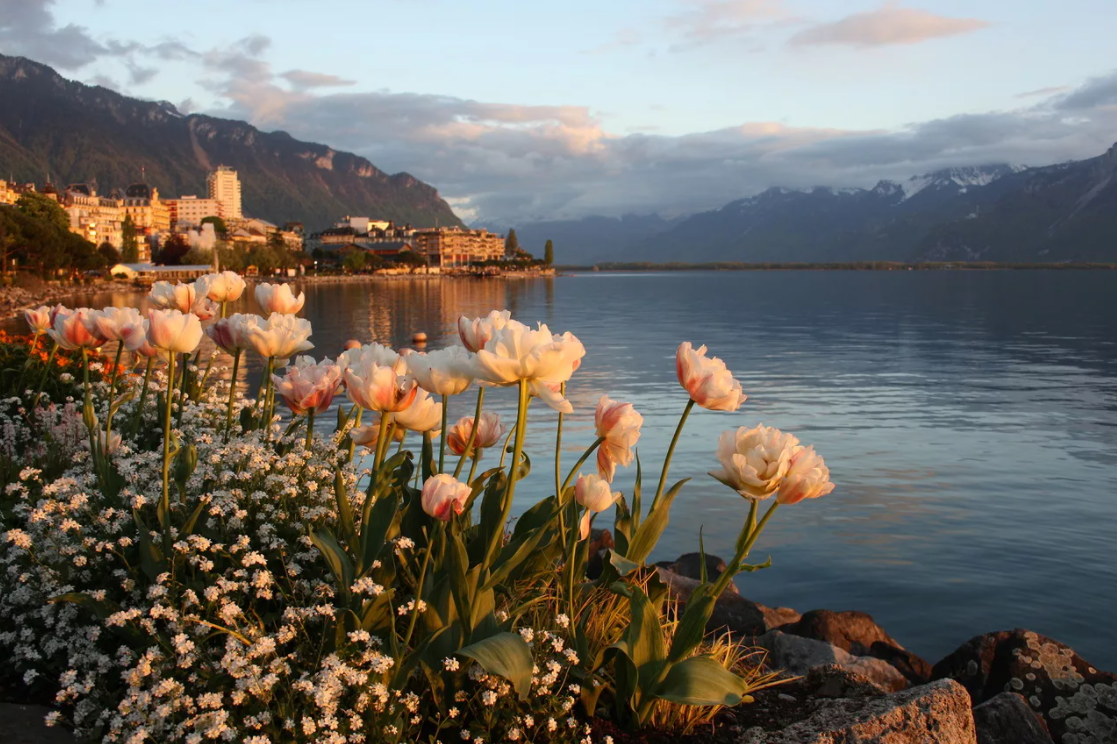 Женевское озеро или Леман – озеро