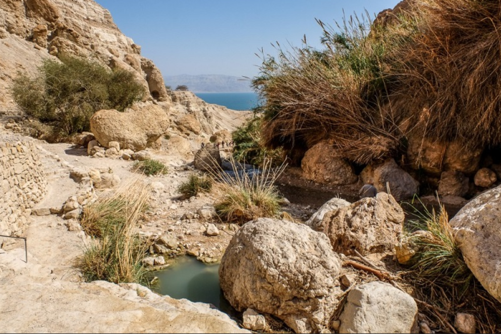 Эйн-Геди - самый большой оазис в Израиле