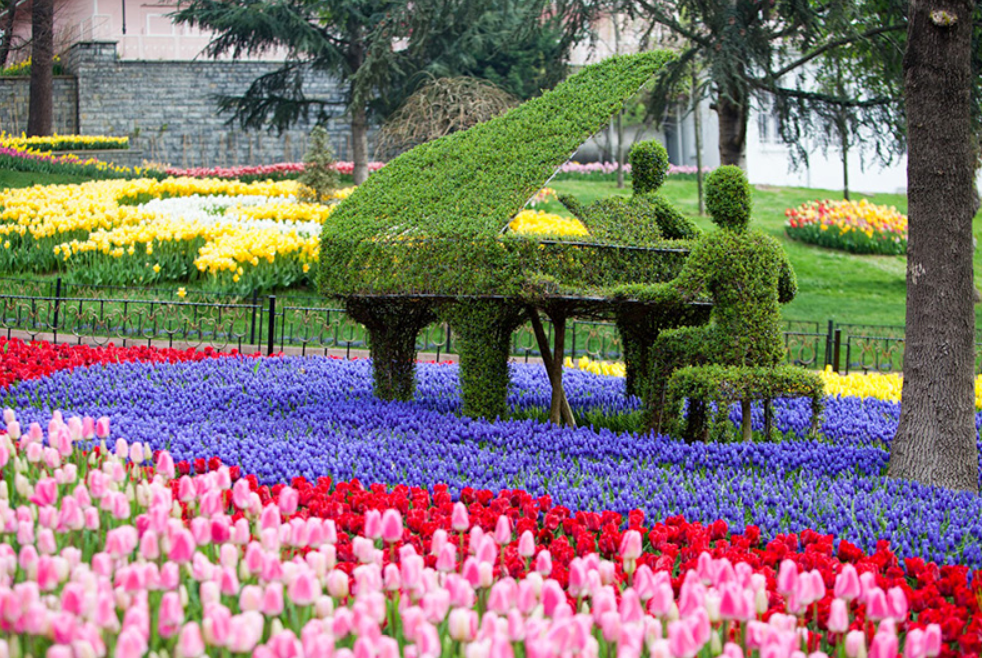 С конца марта до начала мая Стамбул утопает в цветах. Фестиваль тюльпанов