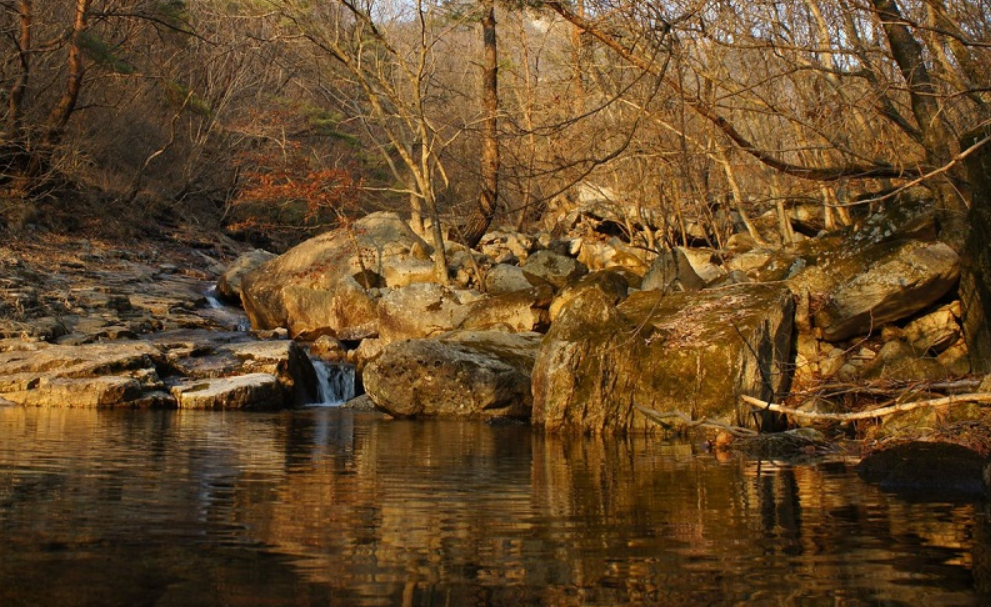 Природа Чхунчхон-Пукто