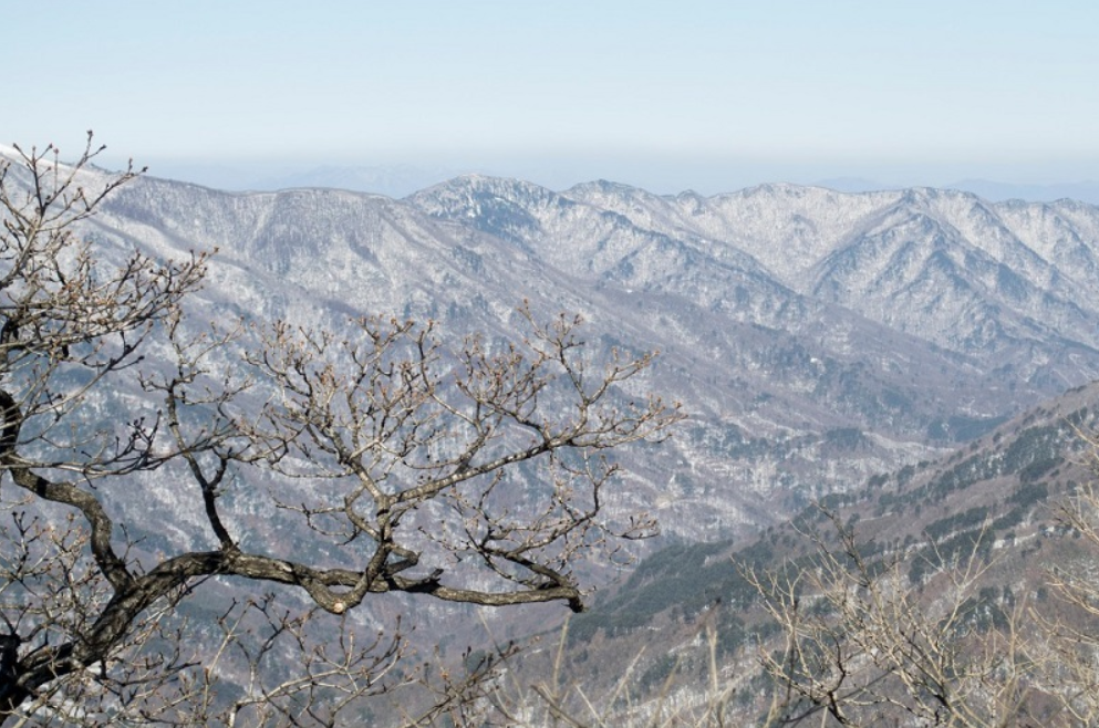 Кёнсан-Намдо находится в зоне субтропического влажного климата