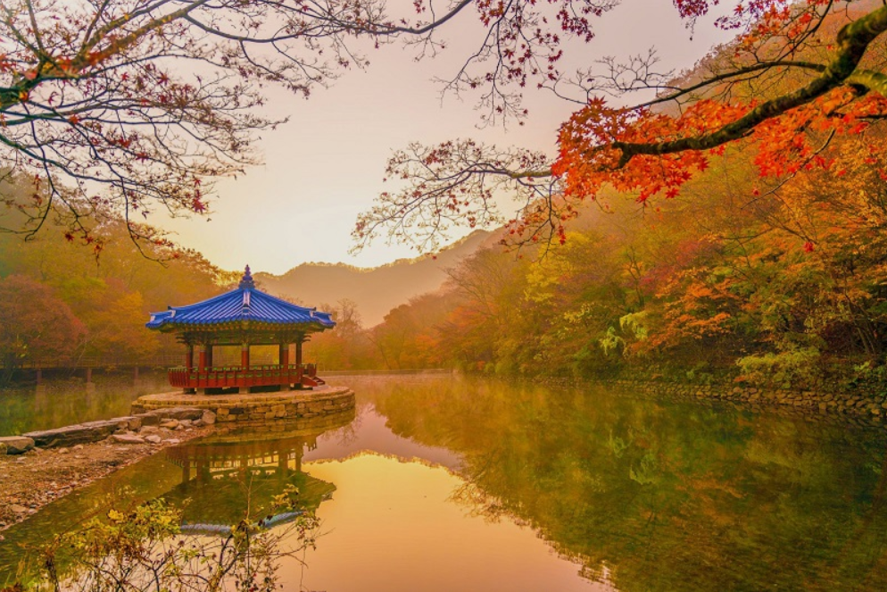 Самые комфортные сезоны для поездки в Чолла-Пукто — весна и осень