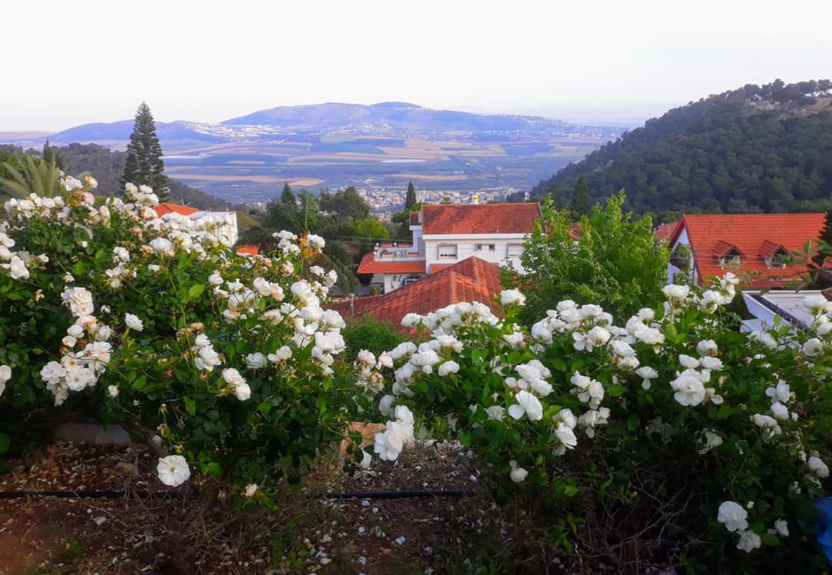 Достопримечательностей в Галилее невероятно много