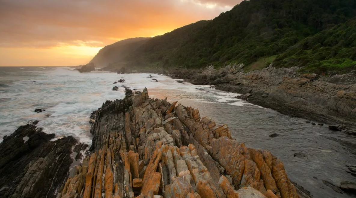 Тситсикамма — первый морской национальный парк в Африке