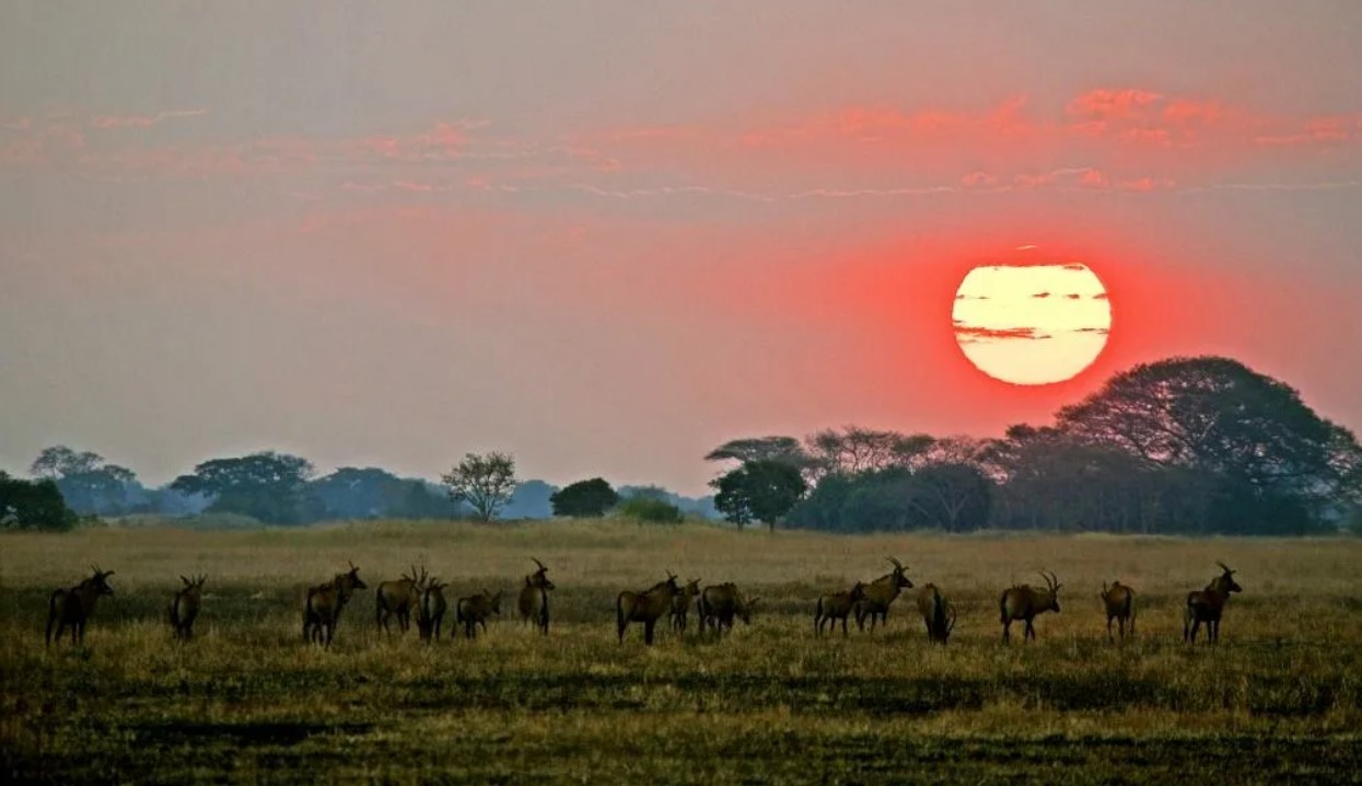Национальный парк Кафуэ-самый большой национальный парк в Замбии